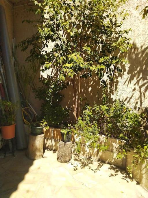 Ideal Pour Deux Voyageurs Sur Apartment Marseille